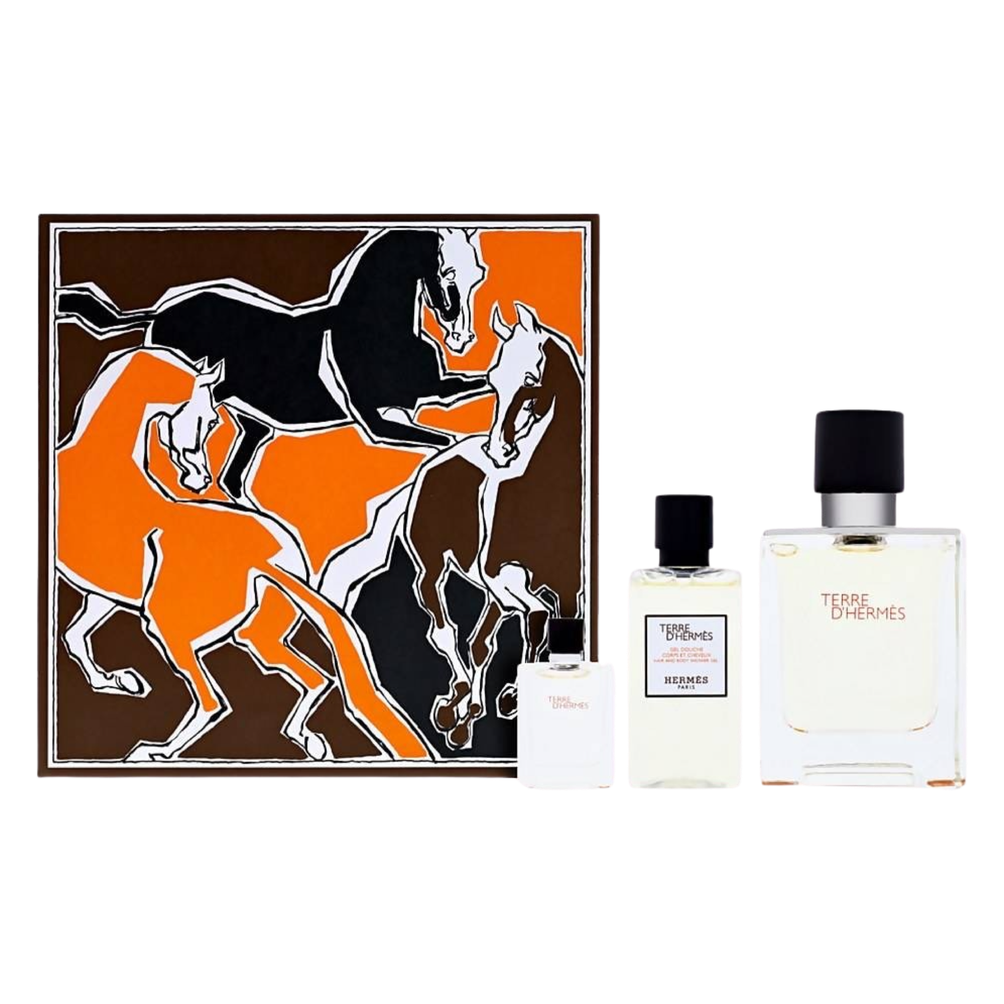 Hermes Terre d'Hermès Eau de Toilette Spray 100ml Gift Set