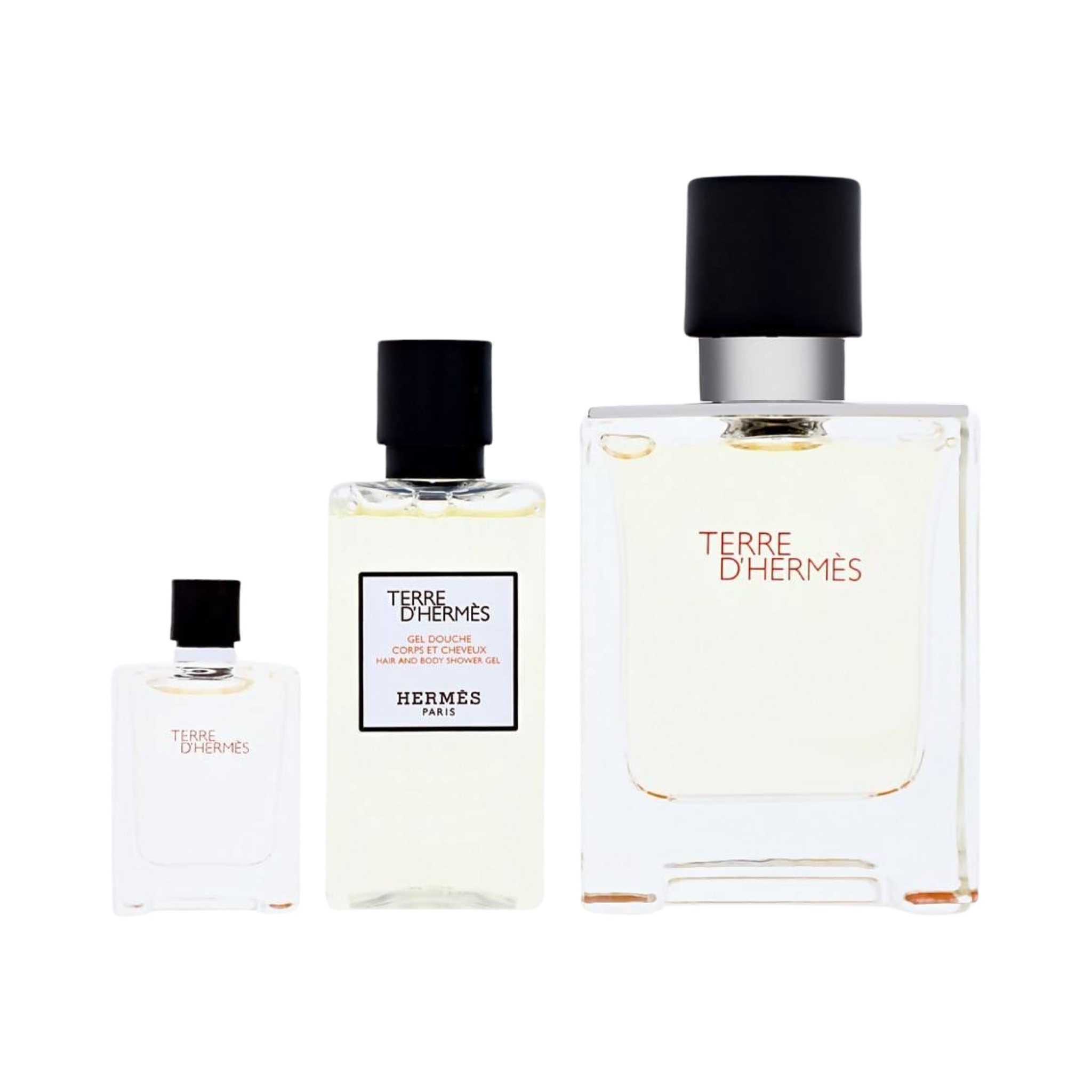 Hermes Terre d'Hermès Eau de Toilette Spray 100ml Gift Set